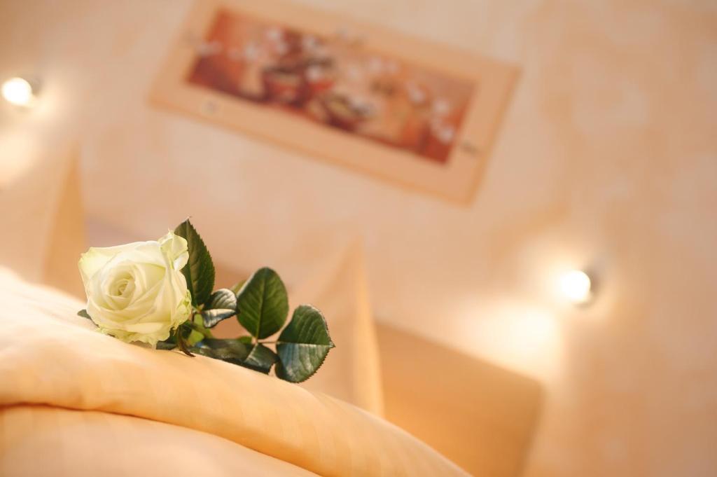 Hotel Mediterraneo Neustadt an der Weinstraße الغرفة الصورة